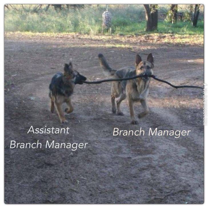 branch+managers