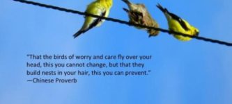 The+birds+of+worry