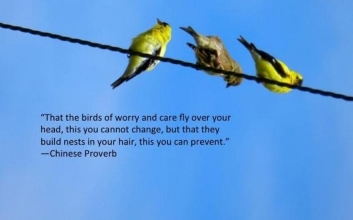 The+birds+of+worry