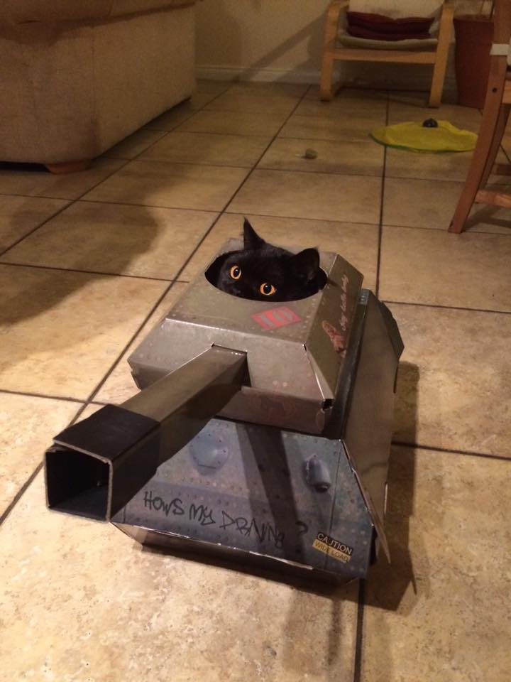 My+friend+got+his+cat+a+tank.
