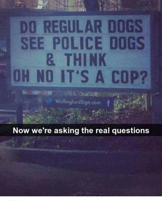 Somebody+answer+this