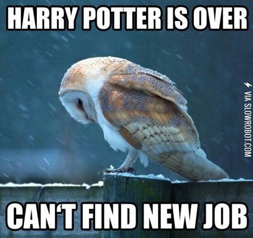Owl+problems.