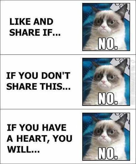 Whenever+I+open+my+Facebook.