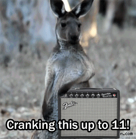 Air+guitar+kangaroo