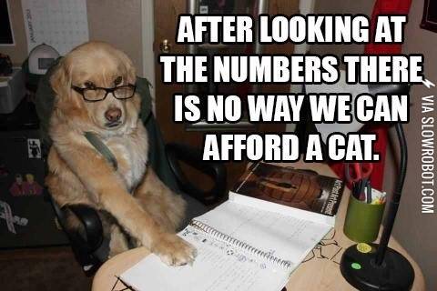 After+looking+at+the+numbers%26%238230%3B