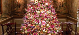 A+Christmas+tree+made+only+of+dried+flowers