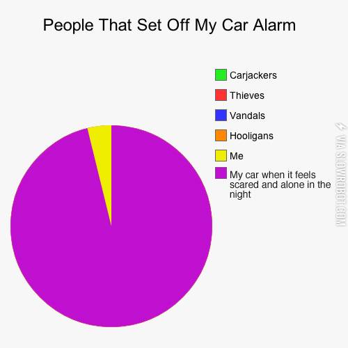 People+that+set+off+my+car+alarm.