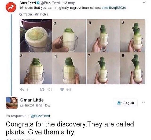 Buzzfeed+discovers+plants