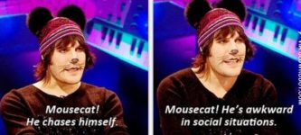 MOUSECAT%21+Awkward+in+social+situations.