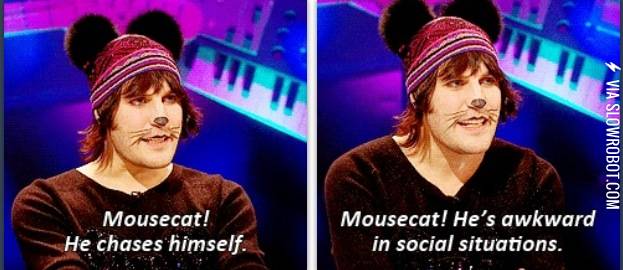 MOUSECAT%21+Awkward+in+social+situations.