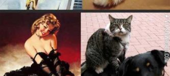 Girls+vs.+Cats.