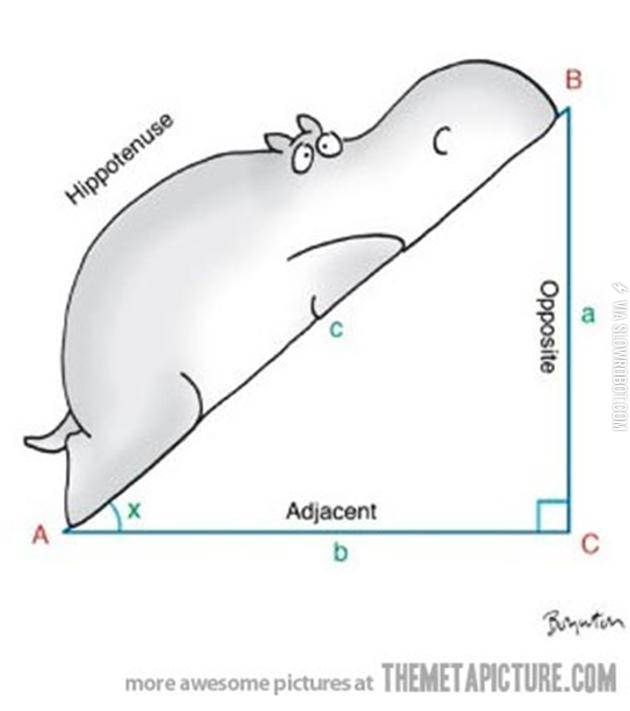 d%26%238217%3Bawww%21+it%26%238217%3Bs+so+acute%21