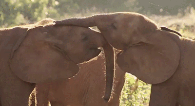 I+love+you+so+much%21