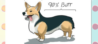 Simple+Diagram+Of+A+Corgi