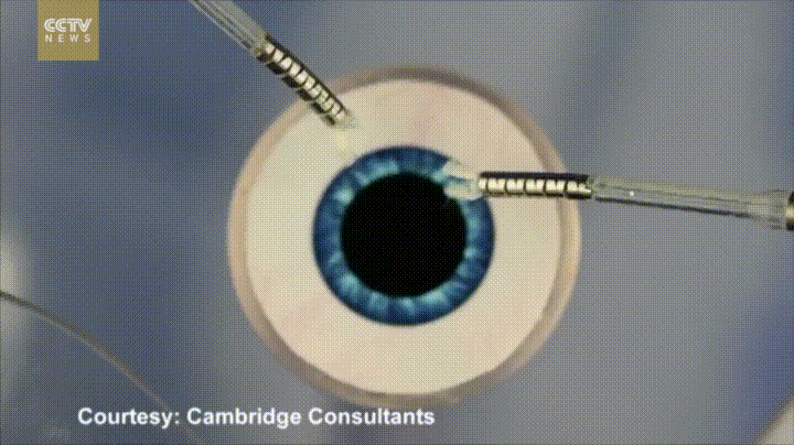 New+surgical+robot+that+is+delicate+enough+to+perform+eye+operations+with+more+accuracy+than+human+hands