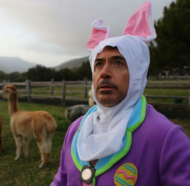 Robert+Downey+Jr.+in+a+bunny+costume+on+a+llama+farm+because+why+not.