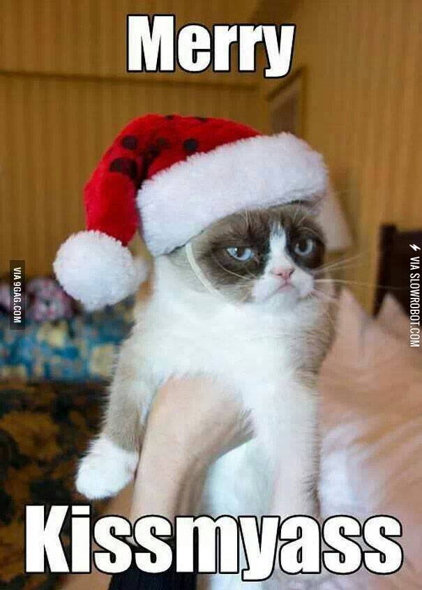 Gumpy+Cat+Christmas.