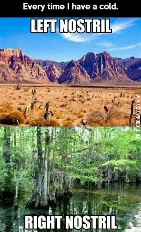 Every+time+I+have+a+cold.