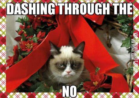 Dashing+through+the%26%238230%3BNo.