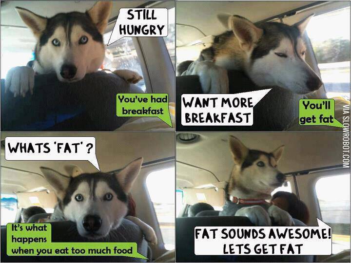 Fat+is+Awesome.
