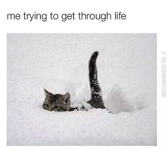 summary+of+finals%3A