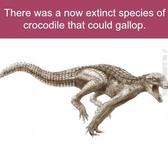 Something+to+be+grateful+for+this+year.