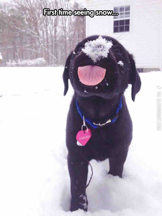 First+time+seeing+snow.