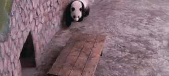 Mission+Impossible%3A+Panda