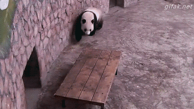 Mission+Impossible%3A+Panda