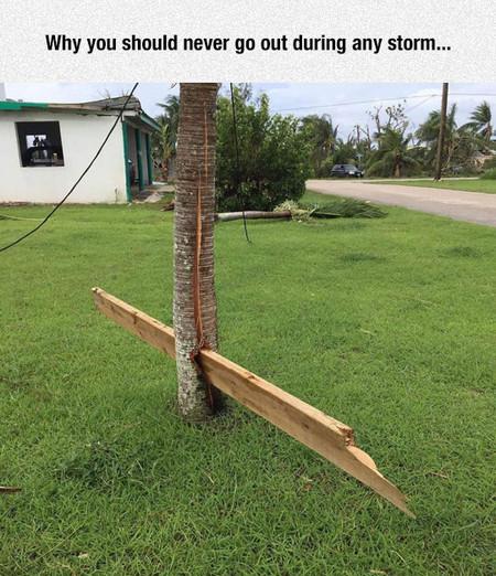 Why+You+Should+Never+Go+Out+During+Any+Storm%26%238230%3B