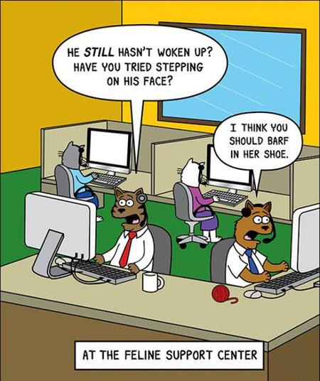 At+The+Cats+Support+Center