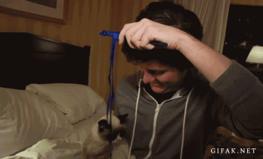 Wut+r+u+doing+human%3F+Stahp%21