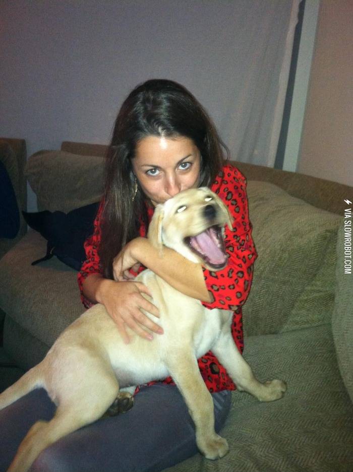 I+think+this+dog+is+in+love.