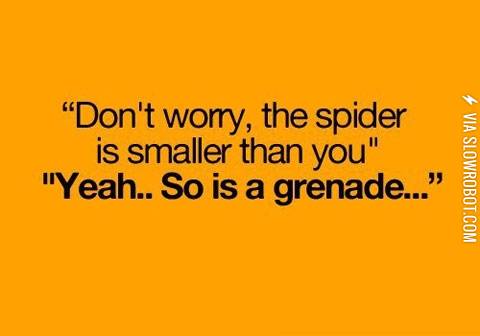 How+I+feel+about+spiders.