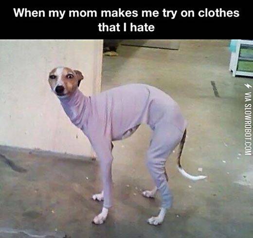 when+my+mom+makes+me+try+on%26%238230%3B