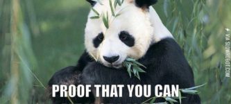 Pandas%26%238230%3B+Proof+that+you+can%26%238230%3B