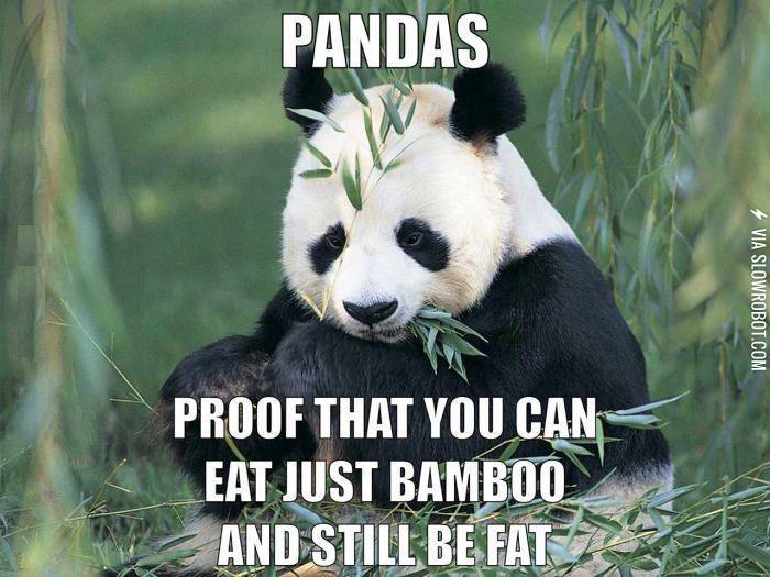 Pandas%26%238230%3B+Proof+that+you+can%26%238230%3B