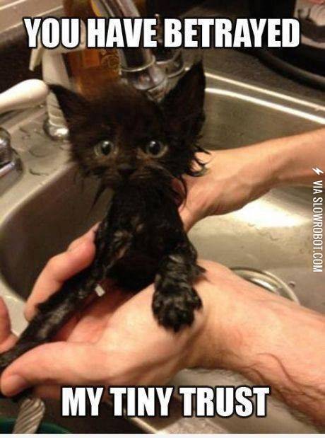 The+look+of+betrayal.