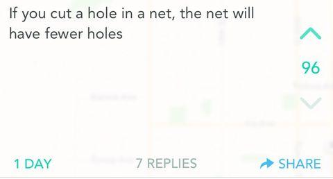 Hole+in+a+net