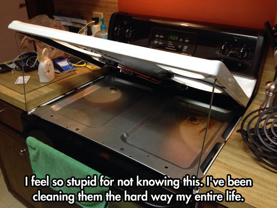 Apparently+I%26%238217%3Bve+Been+Cleaning+It+Wrong+My+Whole+Life