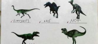 Identify+the+dinosaurs%21