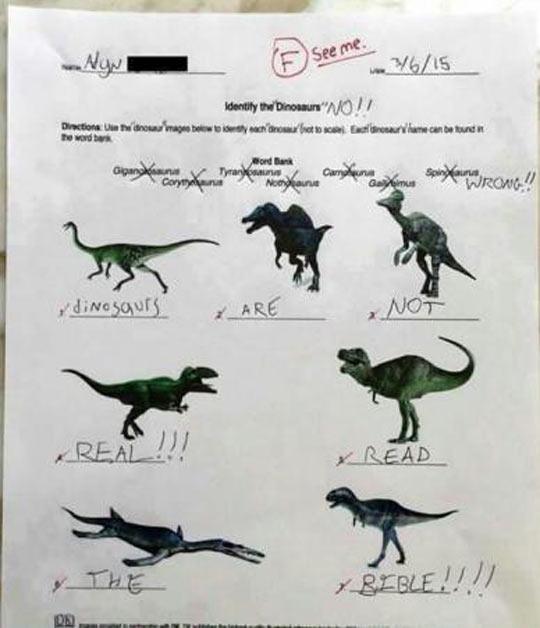 Identify+the+dinosaurs%21