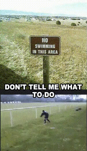 One+day+I+will+win+just+have+to+keep+playing..