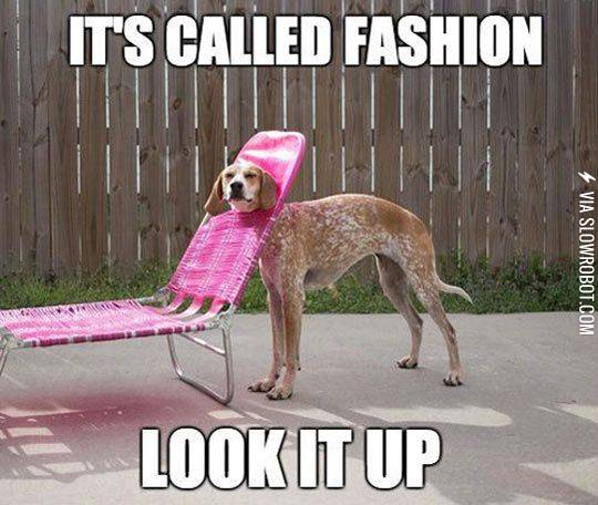It%26%238217%3Bs+called+fashion.+Look+it+up%26%238230%3B