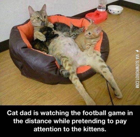 Dads+and+football%26%238230%3B