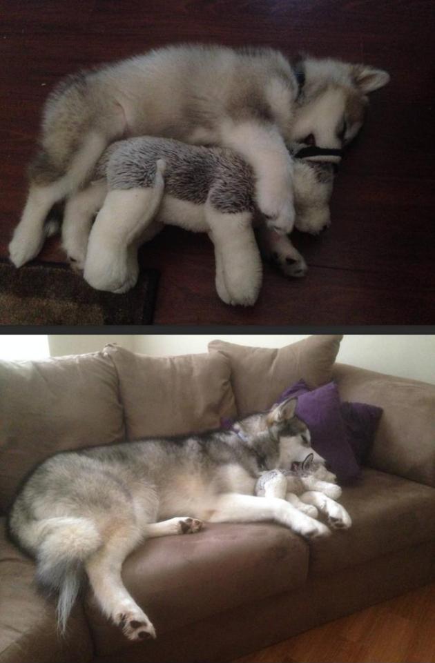 Then+and+now.+She+destroys+every+stuffed+animal+except+this+one.