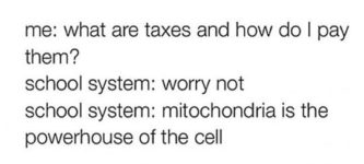 What+are+taxes+and+how+do+I+pay+them%3F