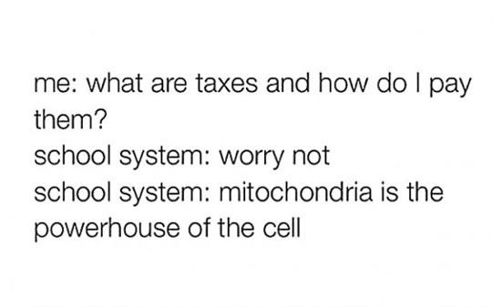 What+are+taxes+and+how+do+I+pay+them%3F