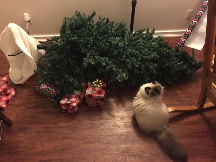 It+wasn%26%238217%3Bt+me%2C+I+swear%26%238230%3B