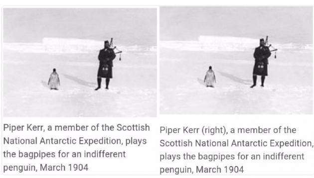 Slight+improvement+in+Wikipedia+picture+caption